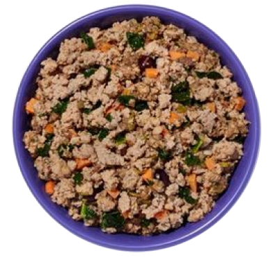 Ollie - Best Fresh Dog Food