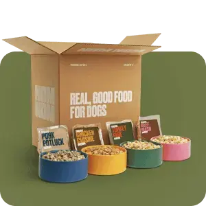 Nom Nom Dog Food Review (Fresh) image
