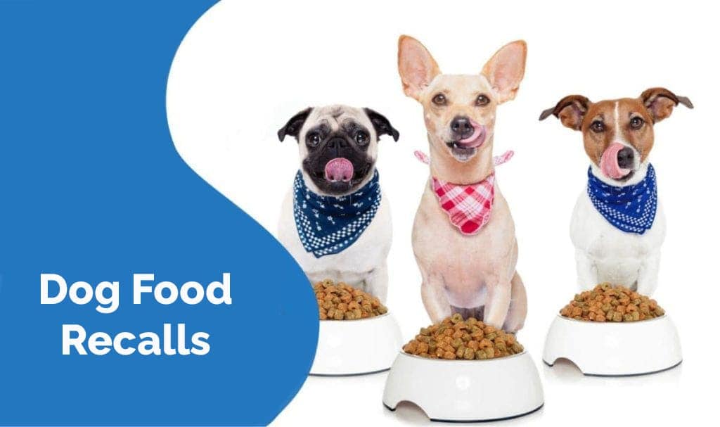 Dog recalls for dog food