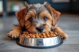 puppy eating out of a bowl
